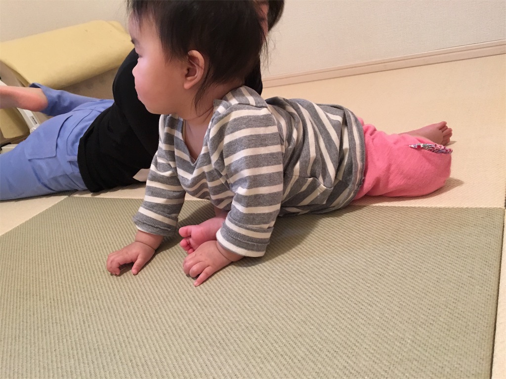 f:id:aohana:20160501170548j:image f:id:aohana:20160501170548j:image