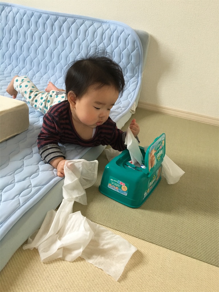 f:id:aohana:20160510180816j:image f:id:aohana:20160510180816j:image