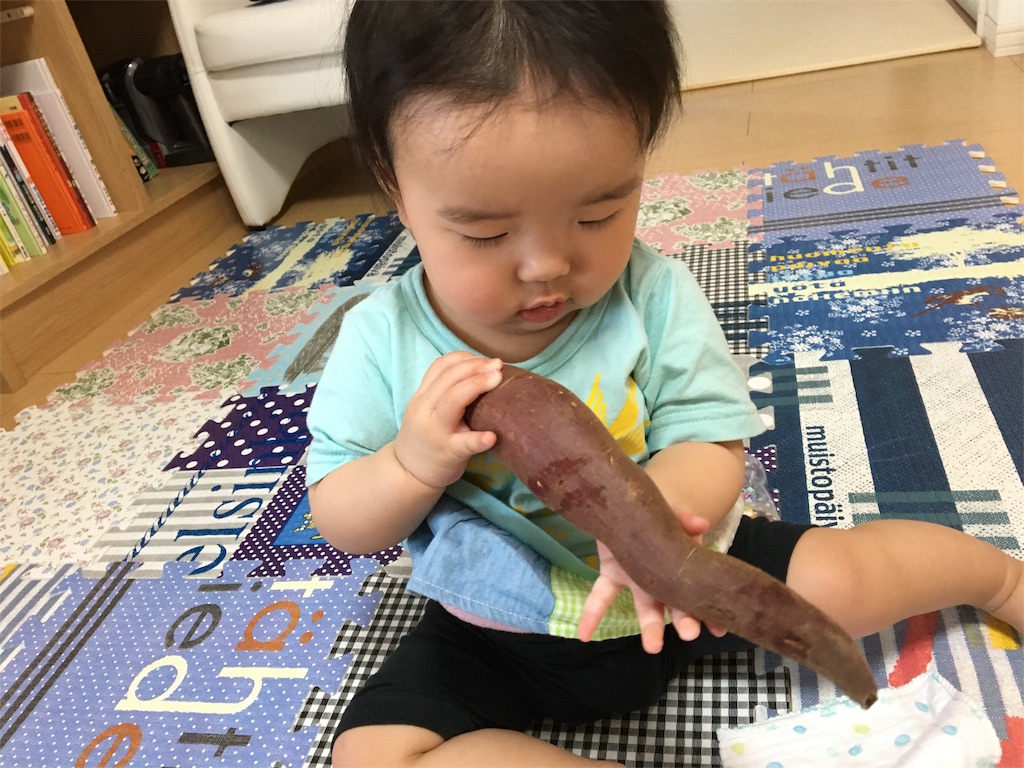 f:id:aohana:20160519205431j:image f:id:aohana:20160519205431j:image