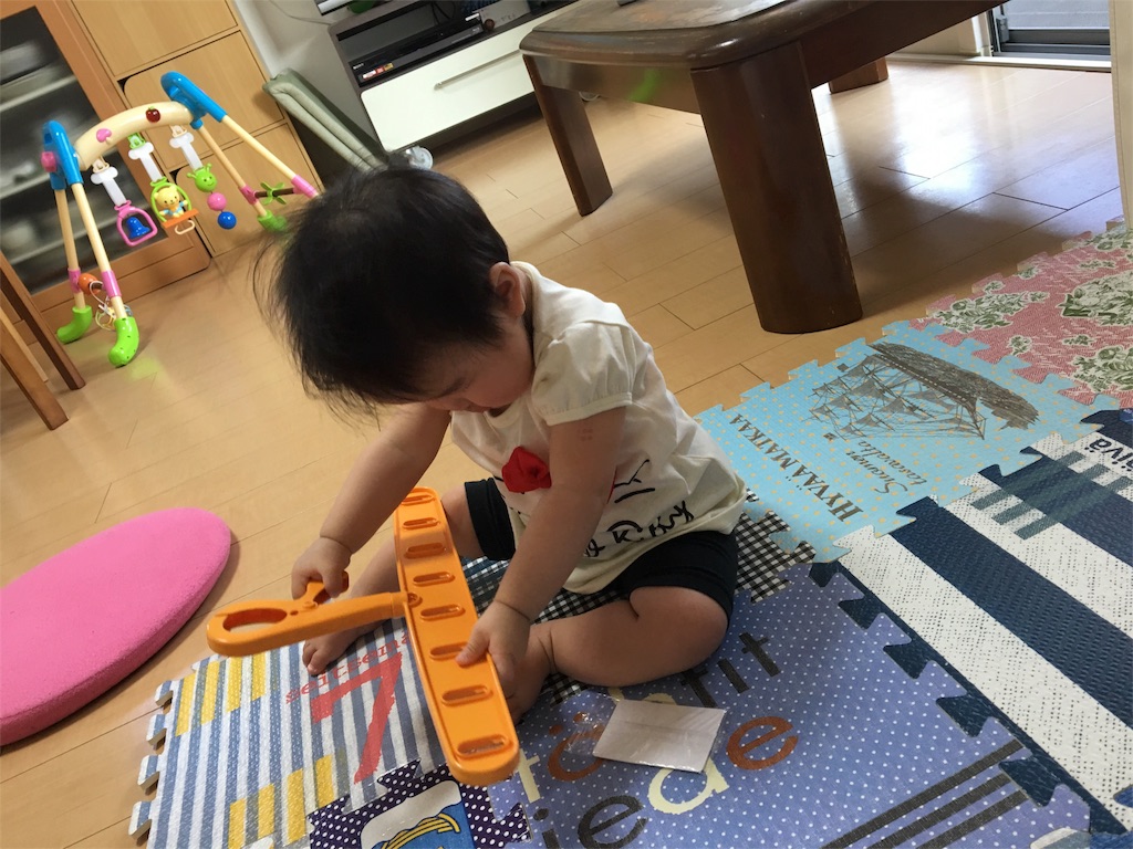f:id:aohana:20160526190110j:image f:id:aohana:20160526190110j:image