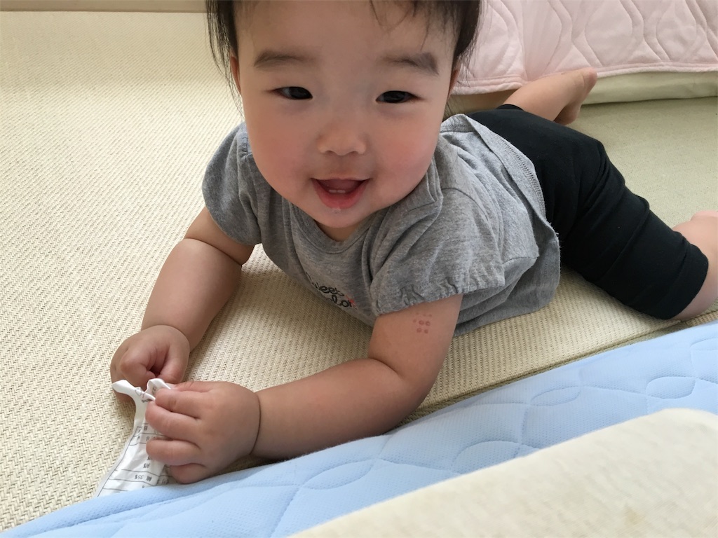 f:id:aohana:20160527212242j:image f:id:aohana:20160527212242j:image