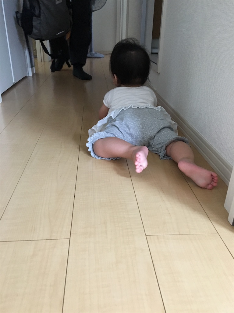 f:id:aohana:20160527224025j:image f:id:aohana:20160527224025j:image