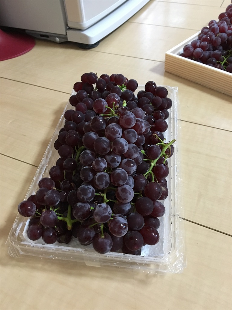 f:id:aohana:20160528154141j:image f:id:aohana:20160528154141j:image