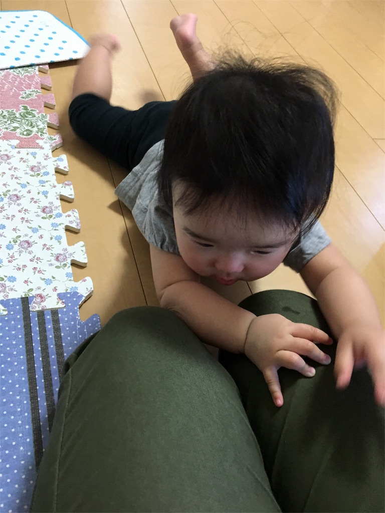 f:id:aohana:20160530223736j:image f:id:aohana:20160530223736j:image