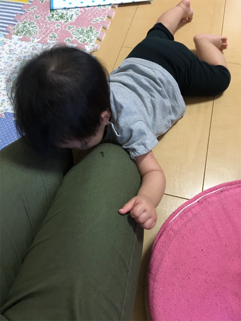 f:id:aohana:20160530223809j:image f:id:aohana:20160530223809j:image