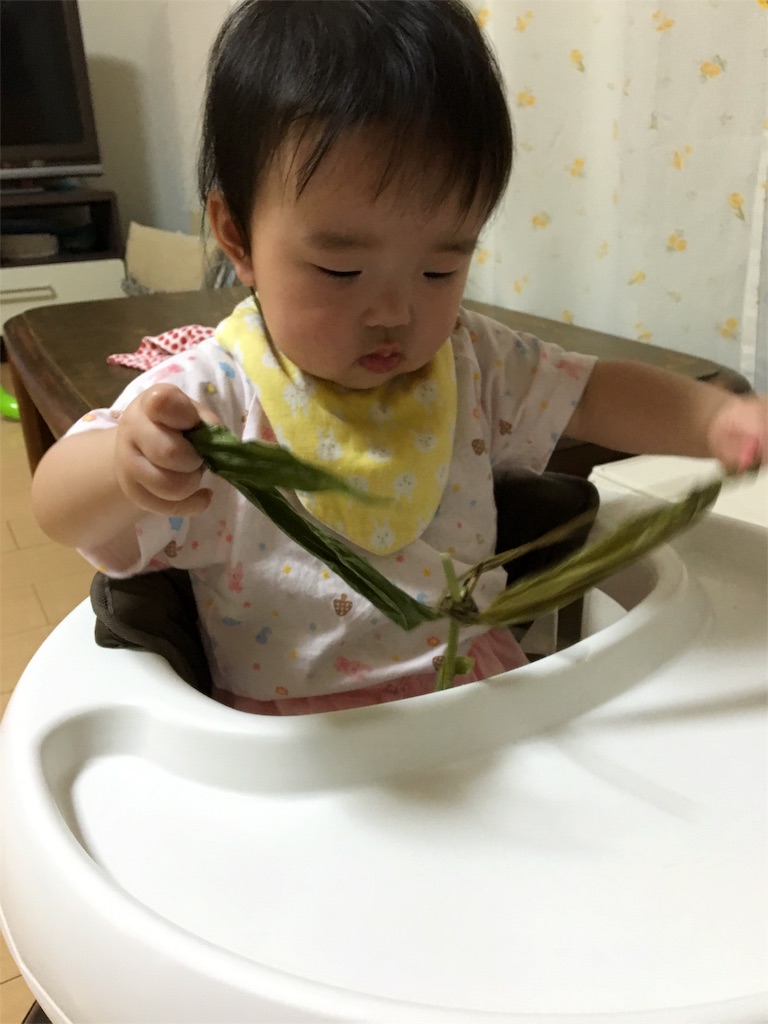 f:id:aohana:20160608222812j:image f:id:aohana:20160608222812j:image