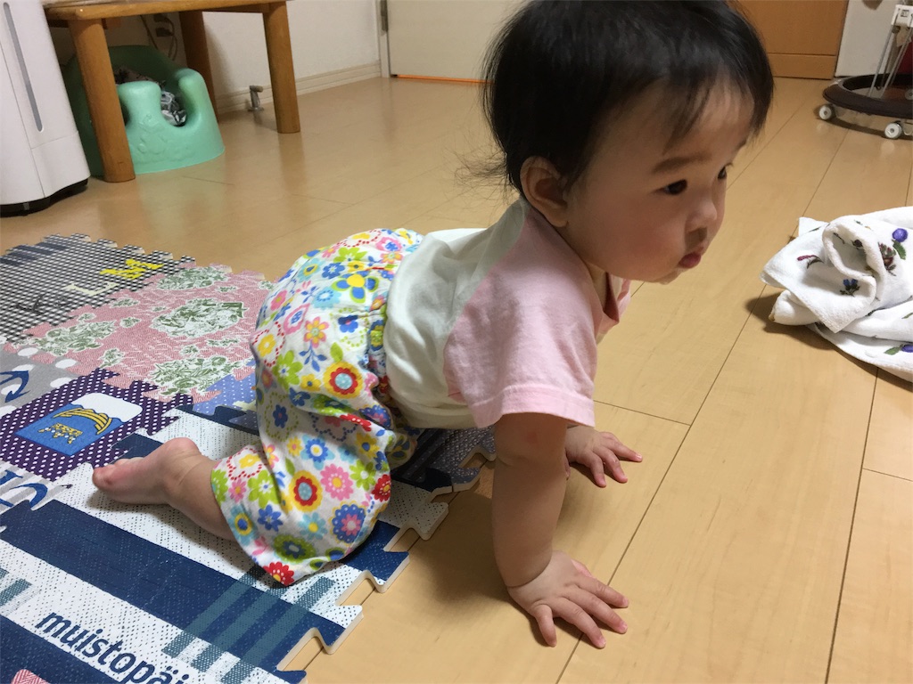f:id:aohana:20160610184328j:image f:id:aohana:20160610184328j:image
