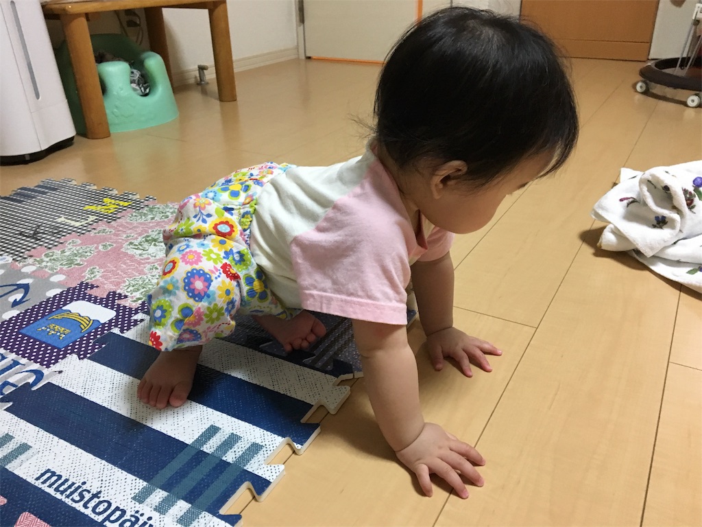 f:id:aohana:20160610184423j:image f:id:aohana:20160610184423j:image