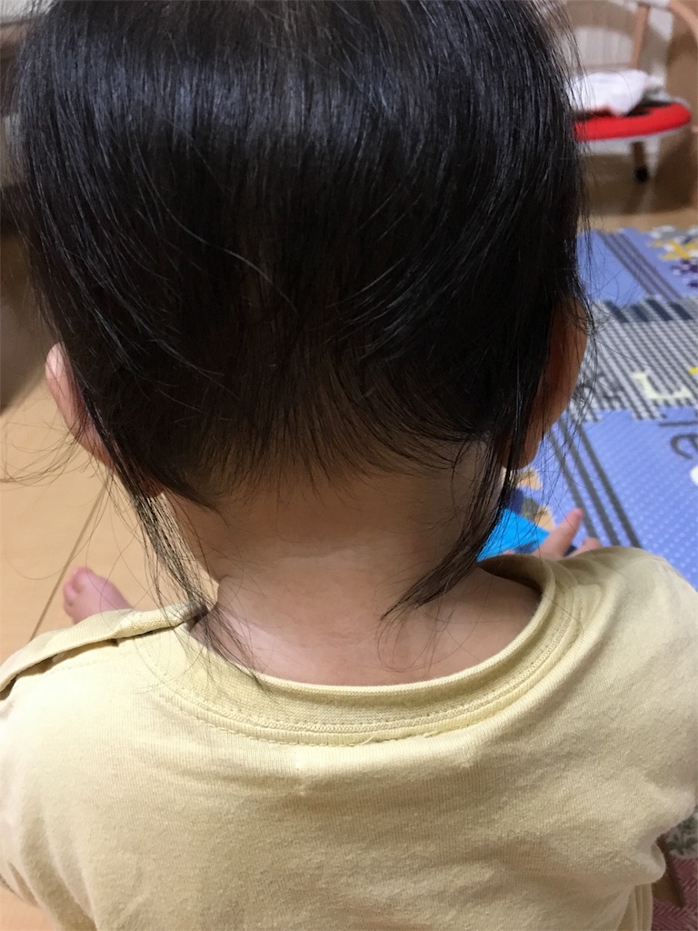 f:id:aohana:20160612154007j:image f:id:aohana:20160612154007j:image