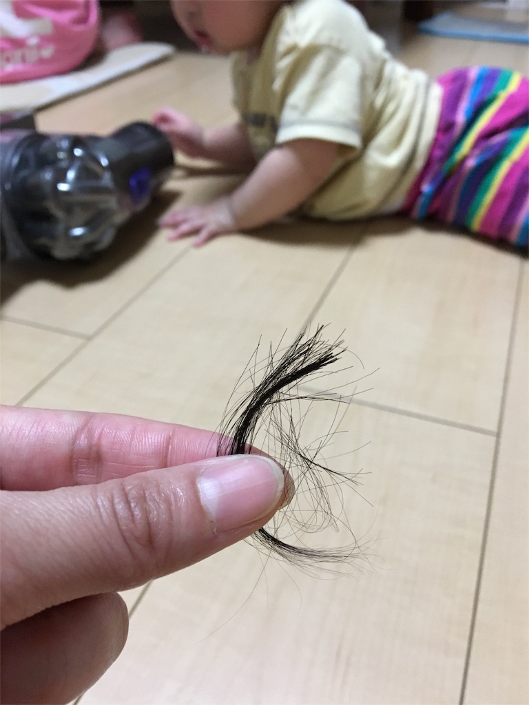 f:id:aohana:20160612154214j:image f:id:aohana:20160612154214j:image