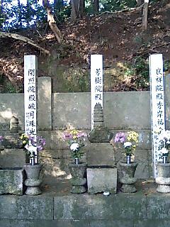 f:id:aoidainagon:20160131020319j:plain f:id:aoidainagon:20160131020319j:plain