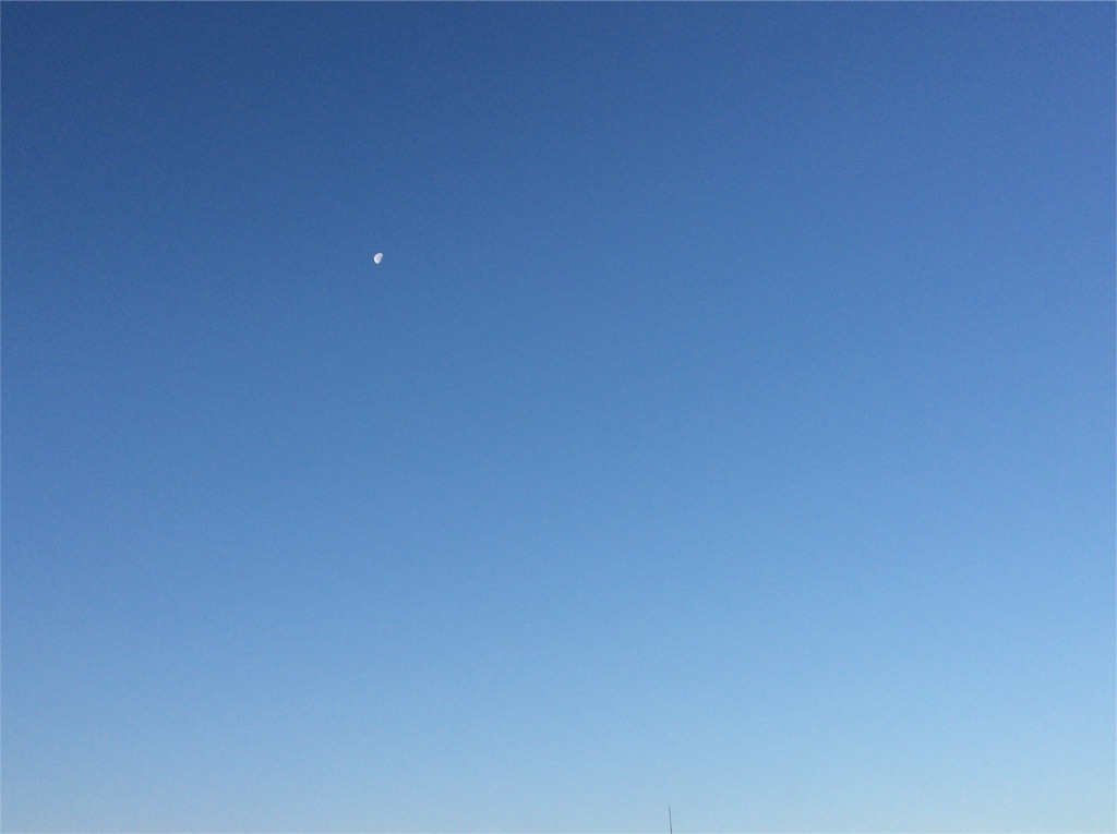 f:id:aonekoon:20151231150930j:image f:id:aonekoon:20151231150930j:image