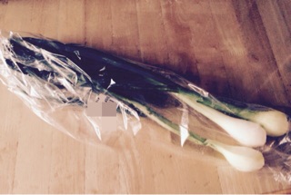 f:id:aonosmile:20150420085411j:plain f:id:aonosmile:20150420085411j:plain