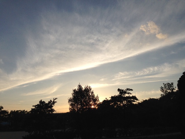 f:id:aonosmile:20150623201650j:image f:id:aonosmile:20150623201650j:image