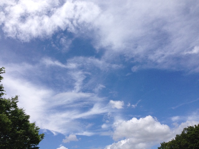 f:id:aonosmile:20150628174402j:image f:id:aonosmile:20150628174402j:image