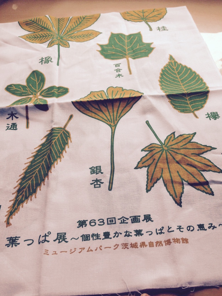 f:id:aonosmile:20150830093933j:image f:id:aonosmile:20150830093933j:image