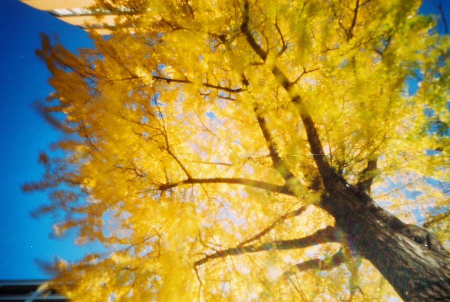 f:id:aoshima:20150130173325j:plain:w600 f:id:aoshima:20150130173325j:plain:w600