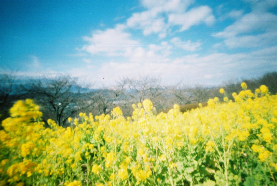 f:id:aoshima:20150613065602j:plain:w600 f:id:aoshima:20150613065602j:plain:w600
