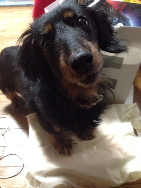 f:id:applelife:20140211020023j:plain f:id:applelife:20140211020023j:plain