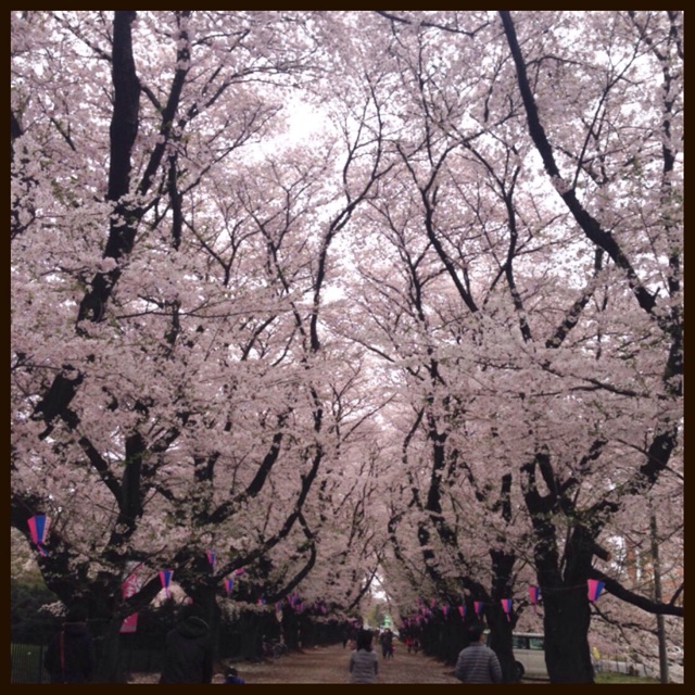 f:id:applelife:20150404231101j:plain f:id:applelife:20150404231101j:plain