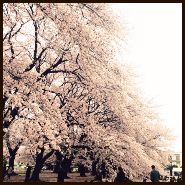 f:id:applelife:20150404231416j:plain f:id:applelife:20150404231416j:plain