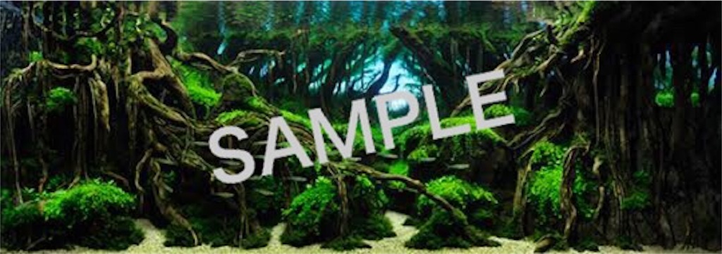 f:id:aquadas:20160523171320j:image f:id:aquadas:20160523171320j:image