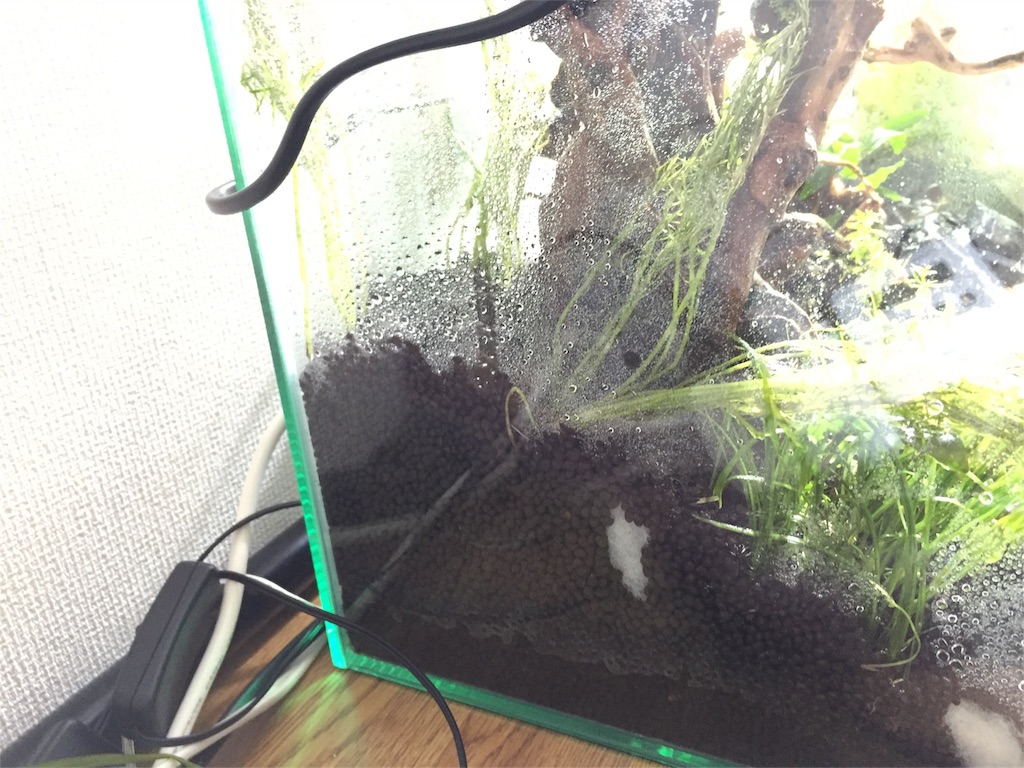 f:id:aquadas:20160603181515j:image f:id:aquadas:20160603181515j:image
