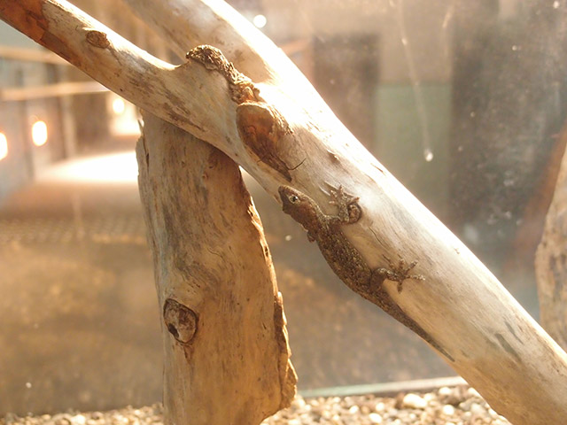 f:id:aquatottotoday:20140529035757j:plain