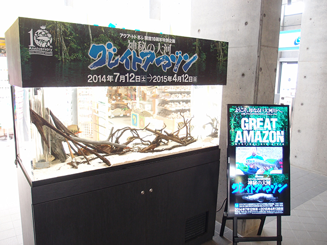 f:id:aquatottotoday:20140716165734j:plain