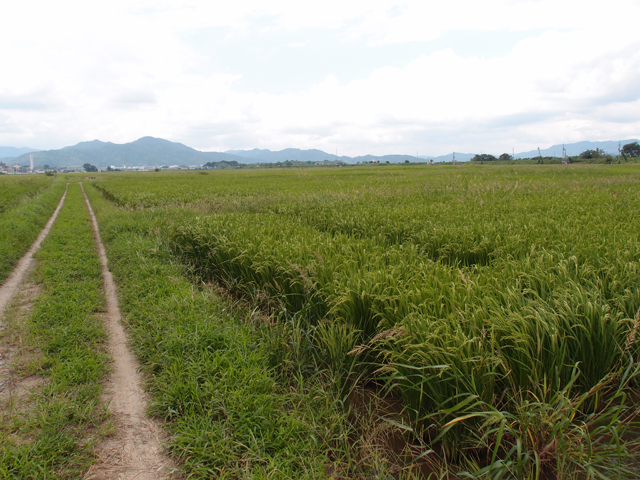 f:id:aquatottotoday:20150501050945j:plain