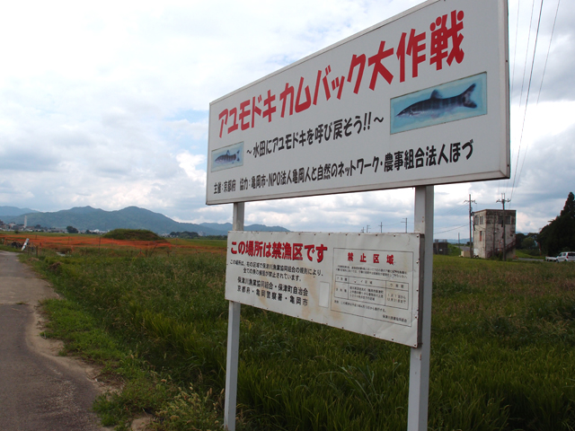 f:id:aquatottotoday:20150501050946j:plain