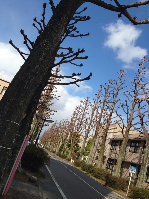 f:id:ar1smile:20141222012011j:plain f:id:ar1smile:20141222012011j:plain