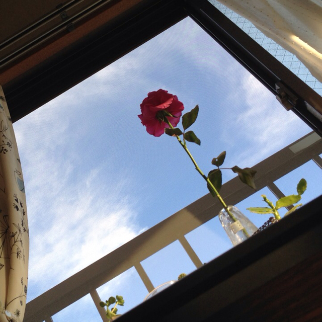 f:id:araihajime:20130623083203j:plain f:id:araihajime:20130623083203j:plain