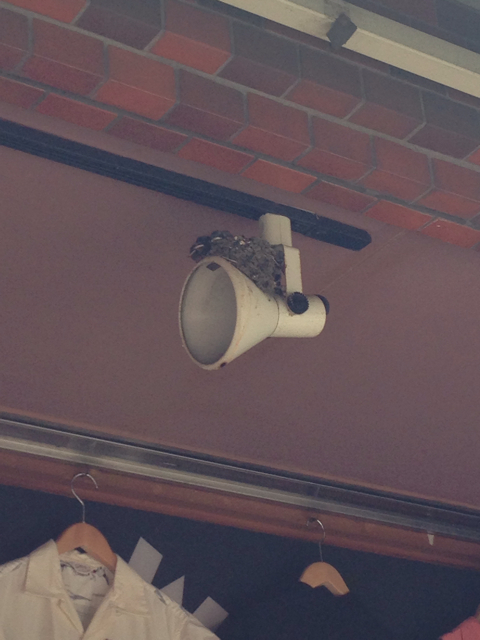 f:id:araihajime:20130623152325j:plain f:id:araihajime:20130623152325j:plain