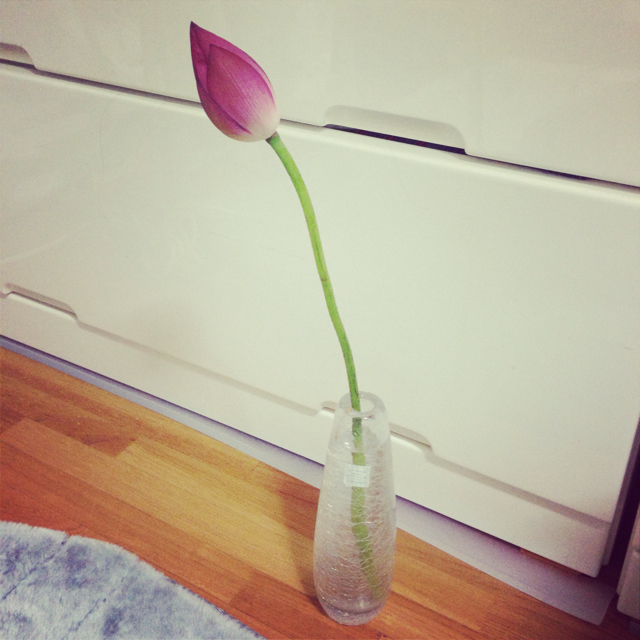 f:id:araihajime:20130711145735j:plain f:id:araihajime:20130711145735j:plain