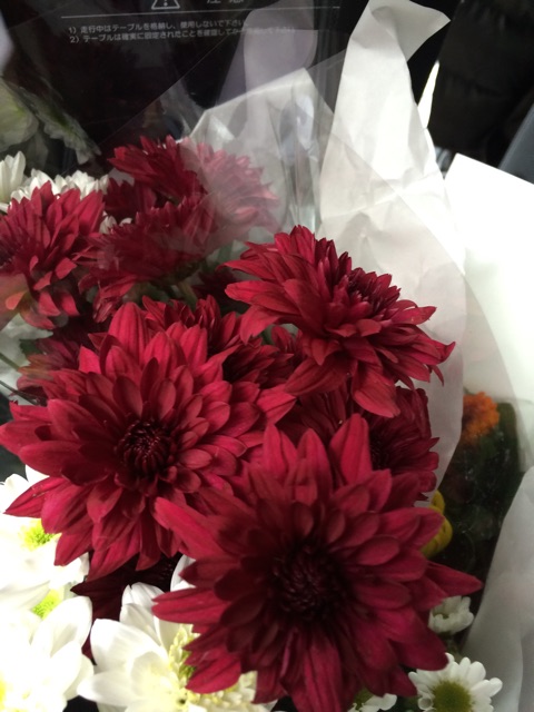 f:id:araihajime:20150321153618j:plain f:id:araihajime:20150321153618j:plain