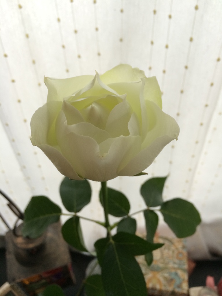 f:id:araihajime:20150926171355j:image f:id:araihajime:20150926171355j:image