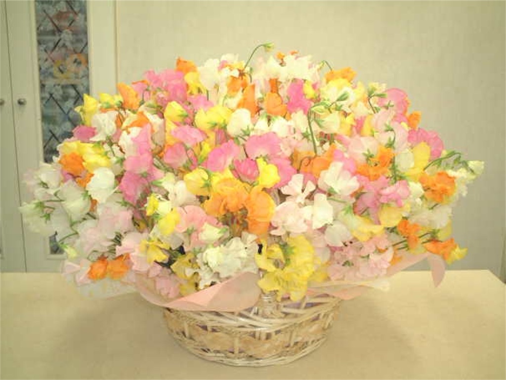 f:id:araihajime:20151222114118j:image f:id:araihajime:20151222114118j:image