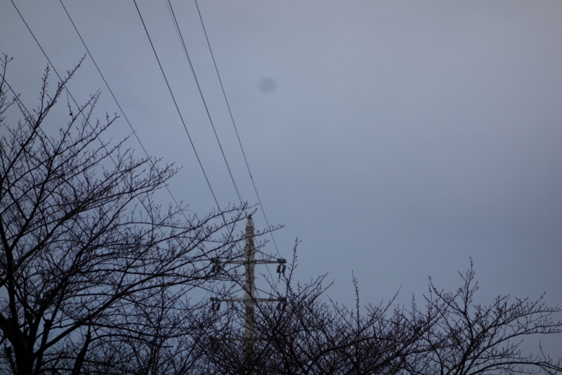 f:id:aratoshi:20140109201232j:plain f:id:aratoshi:20140109201232j:plain
