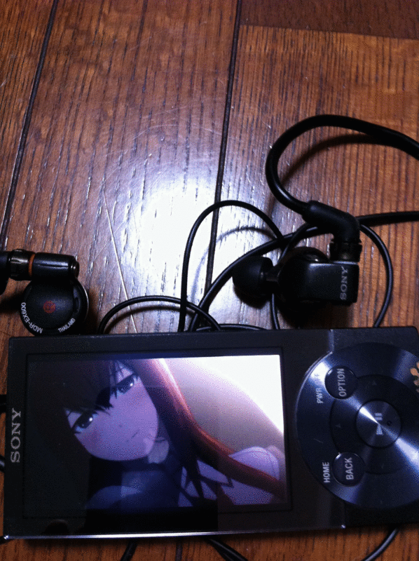 f:id:arawahitsuji:20110711022818g:image:w360