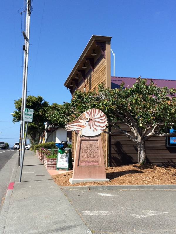 f:id:arcata:20150517103137j:plain f:id:arcata:20150517103137j:plain