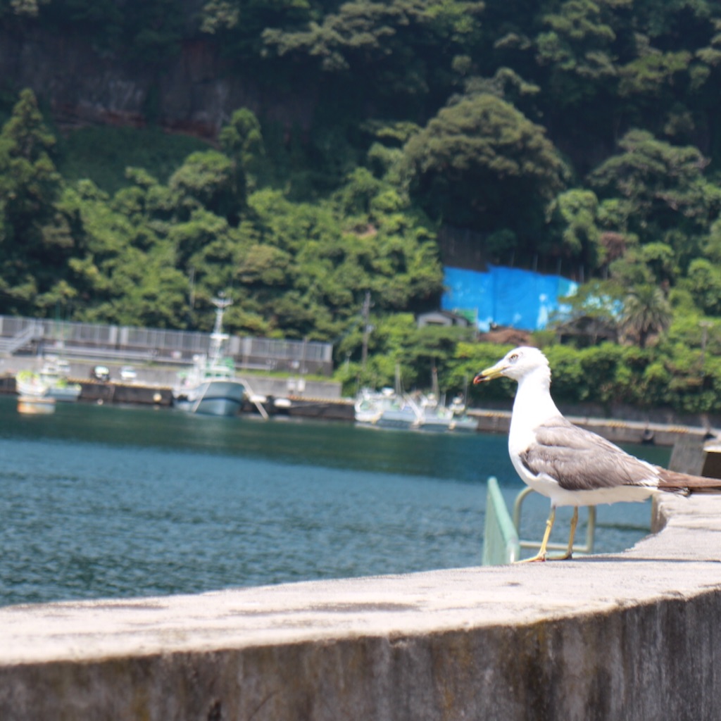 f:id:arico21:20160727075426j:image f:id:arico21:20160727075426j:image