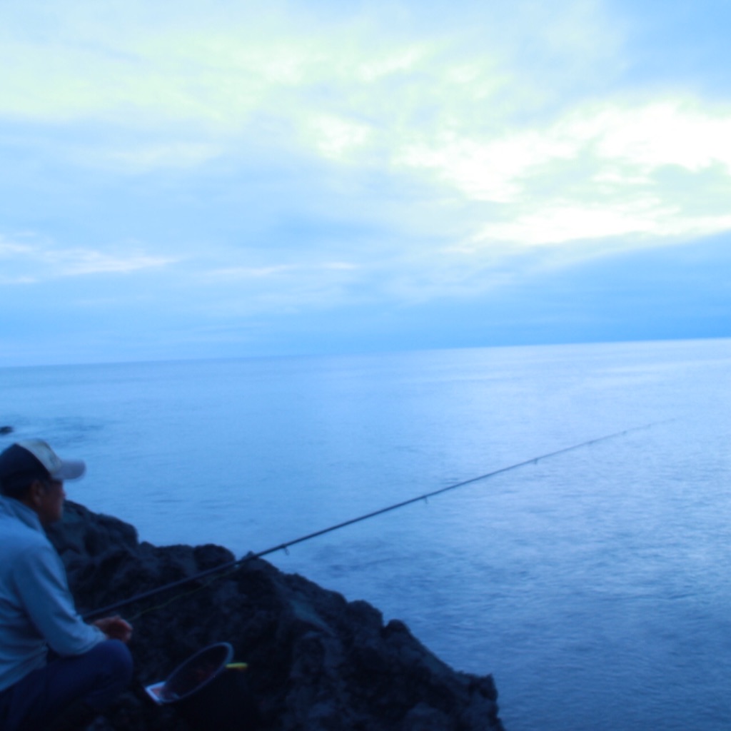 f:id:arico21:20160728172248j:image f:id:arico21:20160728172248j:image