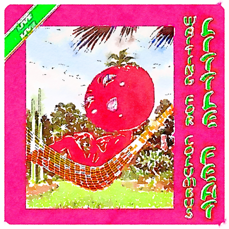 Little Feat ウエイティング・フォー・コロンブスLIVE レコード LITTLE FEAT “Waitng For Columbus” LIVE 1978 Vinyl 2xLP