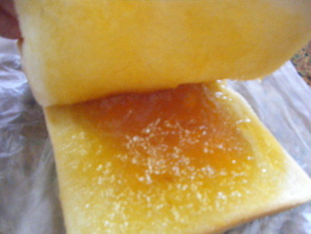 f:id:arisugawajuri:20090503163822j:image