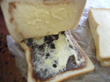 f:id:arisugawajuri:20090503163831j:image