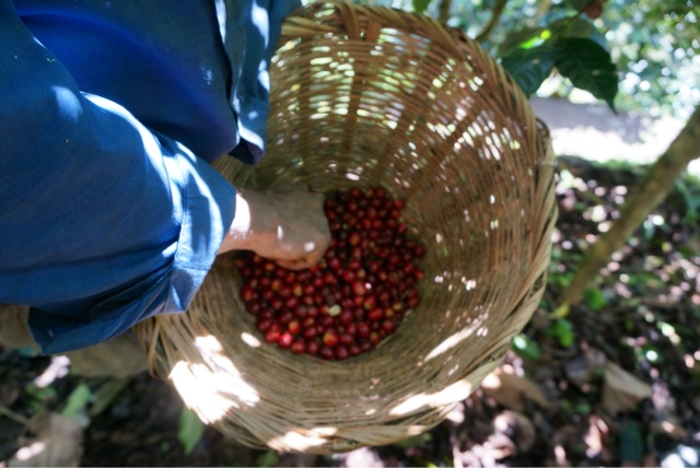 f:id:aromacoffee:20140120202849j:plain f:id:aromacoffee:20140120202849j:plain