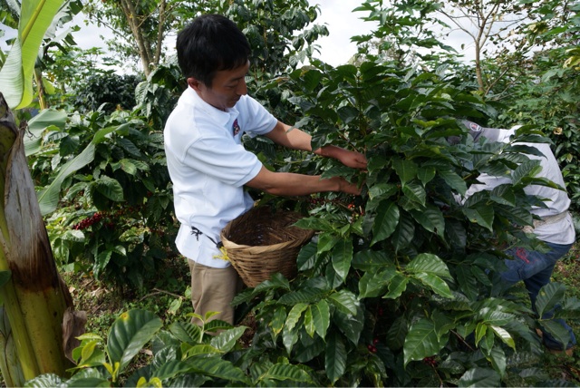 f:id:aromacoffee:20140121221334j:plain f:id:aromacoffee:20140121221334j:plain