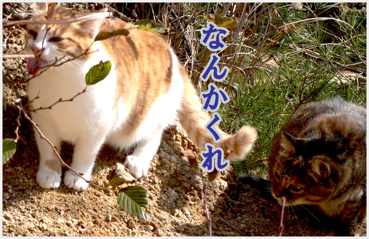 f:id:arumisei010:20131226211845j:plain f:id:arumisei010:20131226211845j:plain