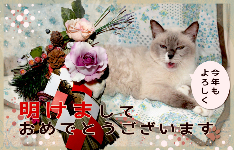 f:id:arumisei010:20131230224107j:plain f:id:arumisei010:20131230224107j:plain